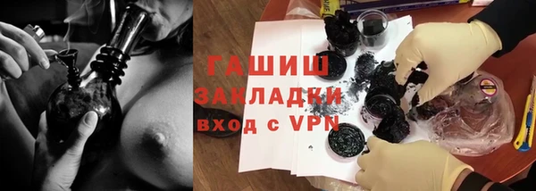стаф Алзамай