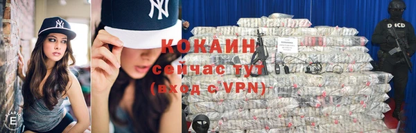 стаф Алзамай